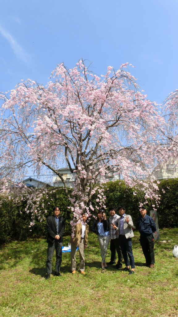 宇治キャンパス内でお花見ランチ会を開催しました。